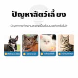 ภาพย่อ 2