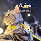 ภาพย่อ 4