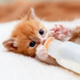 ภาพย่อ 7