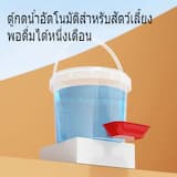 ภาพย่อ 6
