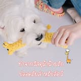ภาพย่อ 4