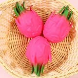 ภาพย่อ 5