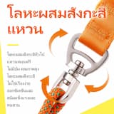 ภาพย่อ 4