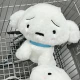 ภาพย่อ 5