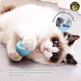 ภาพย่อ 5