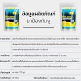 ภาพย่อ 8