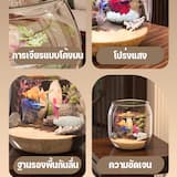 ภาพย่อ 9