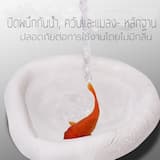ภาพย่อ 6