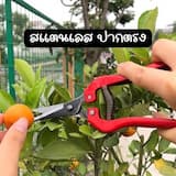 ภาพย่อ 7