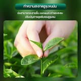 ภาพย่อ 2
