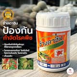 ภาพย่อ 1