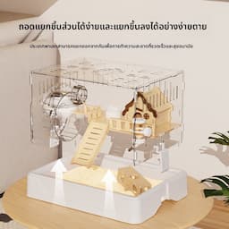 ภาพย่อ 5