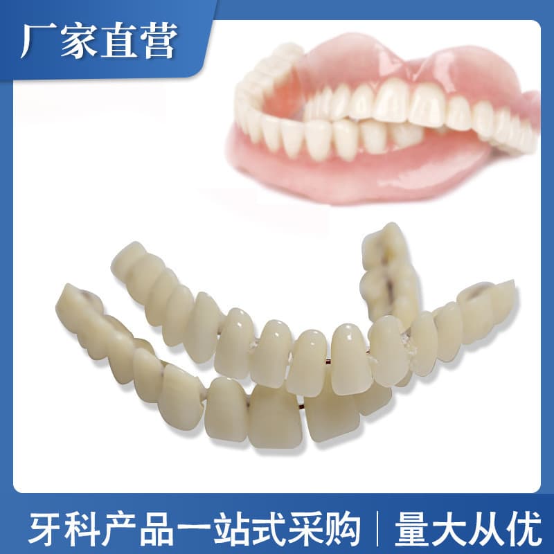 in stock#Denture Simulation Foreign trade hot sale Double Row Plastic Denture Model  Oral Teaching Materials2tk - รูปที่ 1