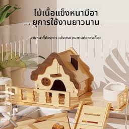 ภาพย่อ 2