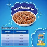 ภาพย่อ 3
