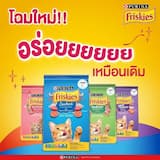 ภาพย่อ 4