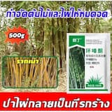 ภาพย่อ 3