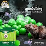 ภาพย่อ 1