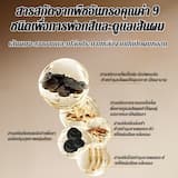 ภาพย่อ 5