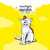 ภาพย่อ 5