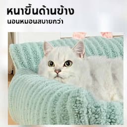 ภาพย่อ 3