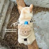 ภาพย่อ 7