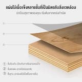 ภาพย่อ 3