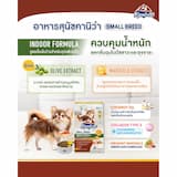 ภาพย่อ 8
