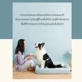 ภาพย่อ 4