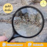 ภาพย่อ 2
