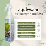 ภาพย่อ 3