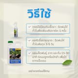 ภาพย่อ 2