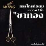 ภาพย่อ 4