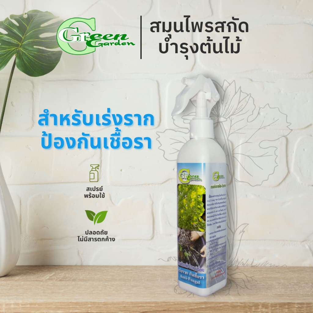 สารสกัดจากพืช-ชีวภาพ เร่งรากกันเชื้อรา สเปรย์บำรุงต้นไม้ Foggy300ml (Anti-Fungal) Green Garden - รูปที่ 1