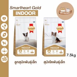 ภาพย่อ 1