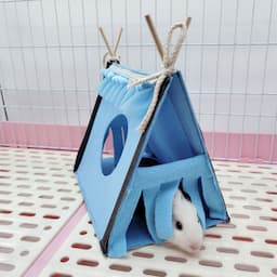 ภาพย่อ 7