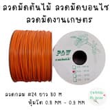 ภาพย่อ 2