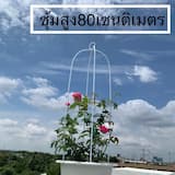 ภาพย่อ 5