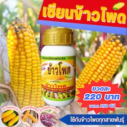 ภาพย่อ 1