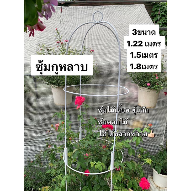 ซุ้มโครงเหล็ก ซุ้มกุหลาบ ซุ้มต้นไม้ กรงนก หลักไม้เลื้อย ที่เกาะต้นไม้ 80เซน/1.22/1.5/1.8 เมตร - รูปที่ 1