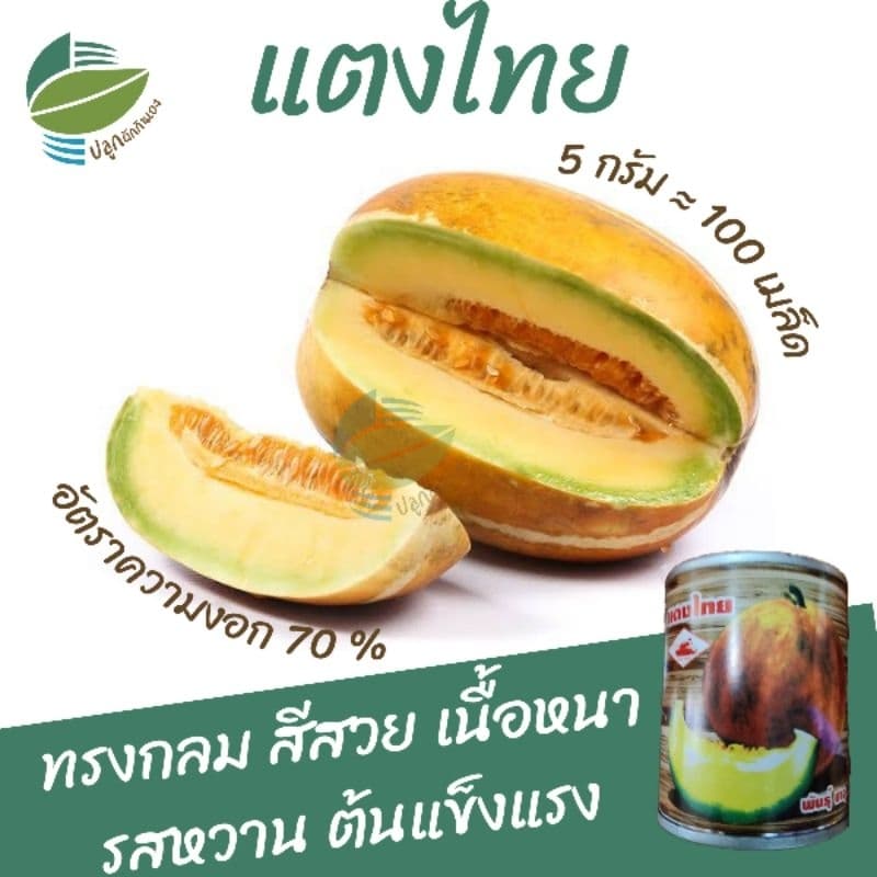 เมล็ดพันธุ์ แตงไทย ซาอุ (Muskmelon) - รูปที่ 1