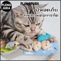 ภาพย่อ 2