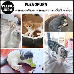 ภาพย่อ 5