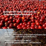 ภาพย่อ 7