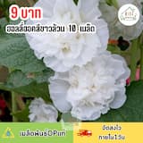 ภาพย่อ 1
