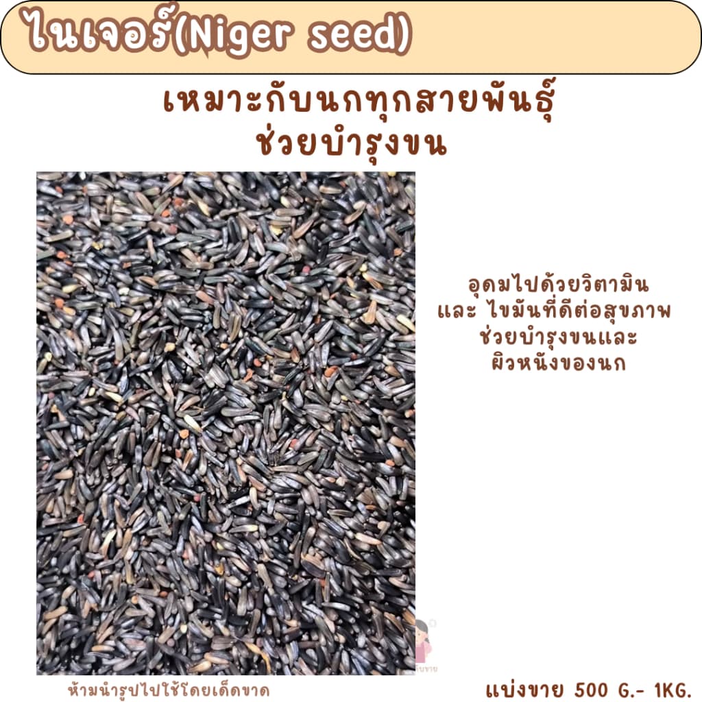 เมล็ดไนเจอร์ (แบ่งขาย 200-500G.) อาหารนกแก้วทุกสายพันธุ์ ช่วยบำรุงขนนกแก้ว - รูปที่ 1