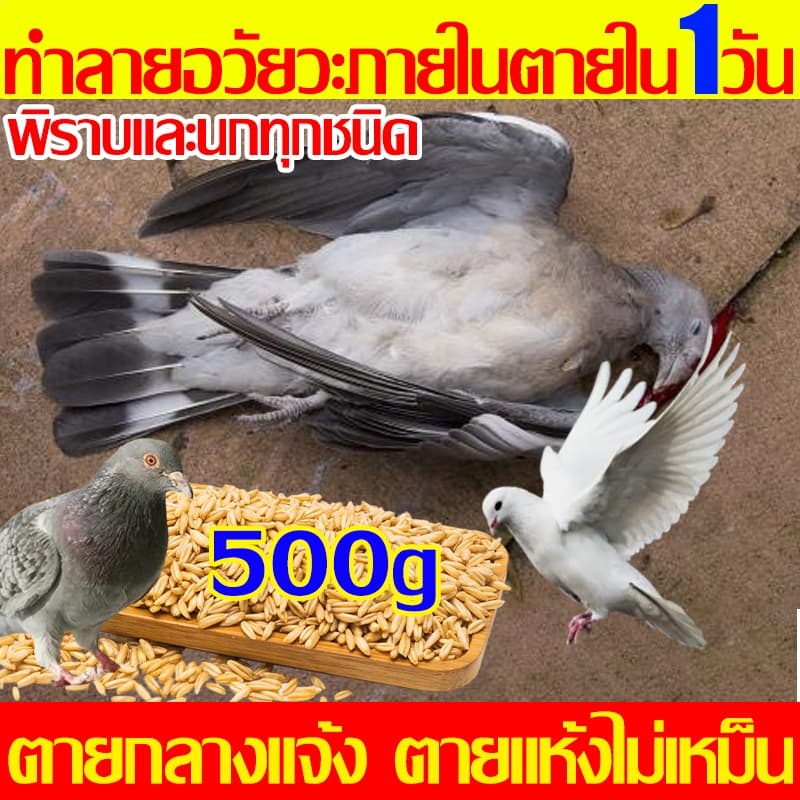 ไม่มีนกใน10000เมตรต่อไป ยาเบื่อนก นกหายไปหมด ยากำจัดนกพิราบ ยาเบื่อนกพิราบ เหยื่อกำจัดนกพิราบ กันฝน กันแดด เหยื่อหนู - รูปที่ 1