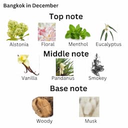 ภาพย่อ 2