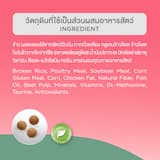 ภาพย่อ 4