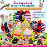 ภาพย่อ 1